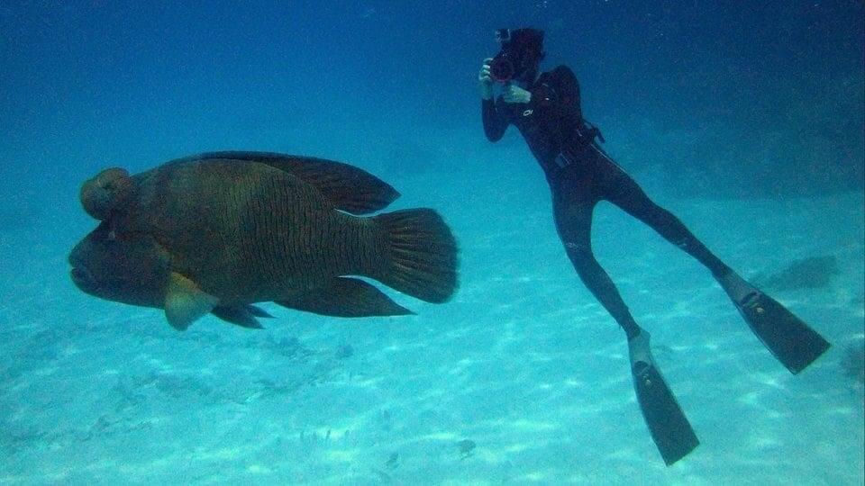 What Do You Require In An Action Camera